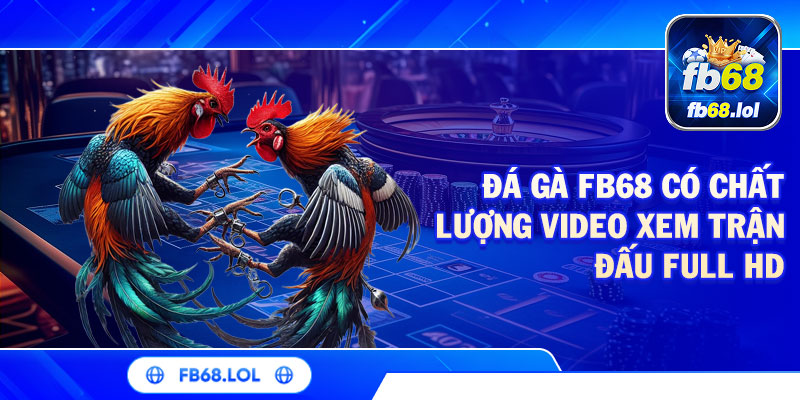 Đá Gà Cựa Sắt FB68 | Mãn Nhãn Các Màn Tranh Tài Kịch Tính
