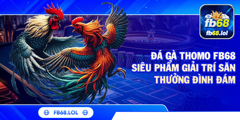 Đá Gà Thomo FB68 | Siêu Phẩm Giải Trí Săn Thưởng Đình Đám