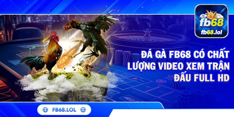 Đá gà FB68 có chất lượng video xem trận đấu FULL HD