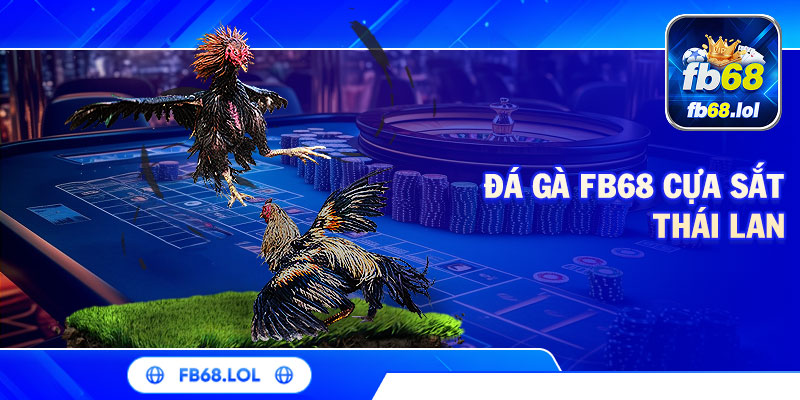Đá gà FB68 cựa sắt Thái Lan