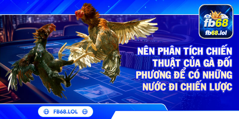 Nên phân tích chiến thuật của gà đối phương để có những nước đi chiến lược phù hợp