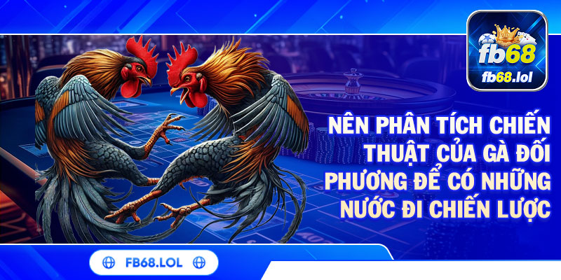 Nên phân tích chiến thuật của gà đối phương để có những nước đi chiến lược phù hợp