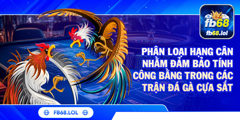 Phân loại hạng cân nhằm đảm bảo tính công bằng trong các trận đá gà cựa sắt FB68