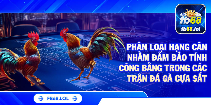Phân loại hạng cân nhằm đảm bảo tính công bằng trong các trận Đá gà thomo FB68