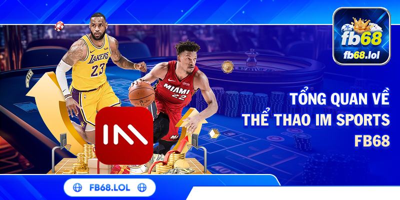Tổng quan về thể thao IM Sports FB68